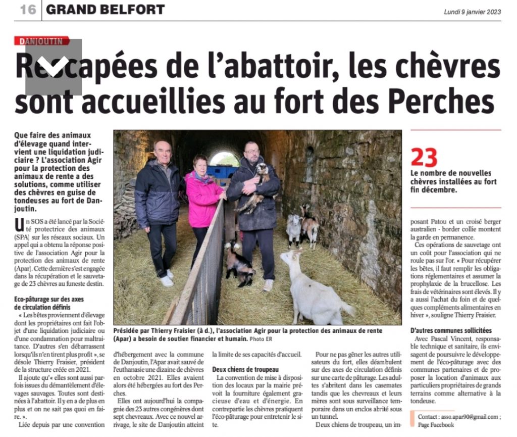 Article sur le Grand Belfort